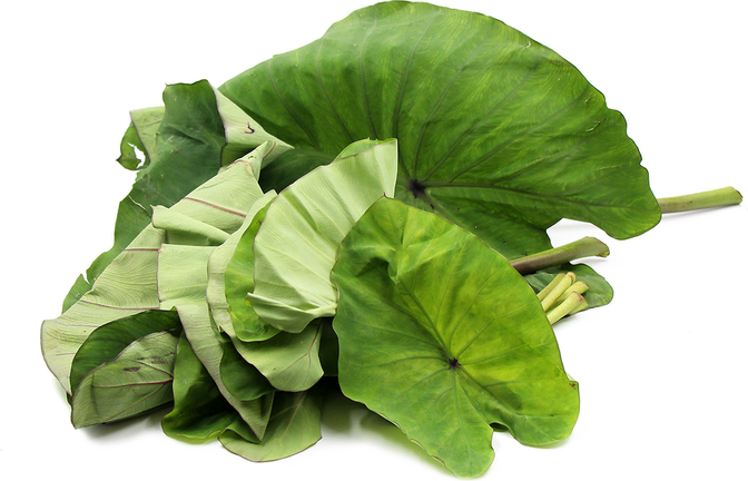 health-benefits-of-taro-leaves-coconet